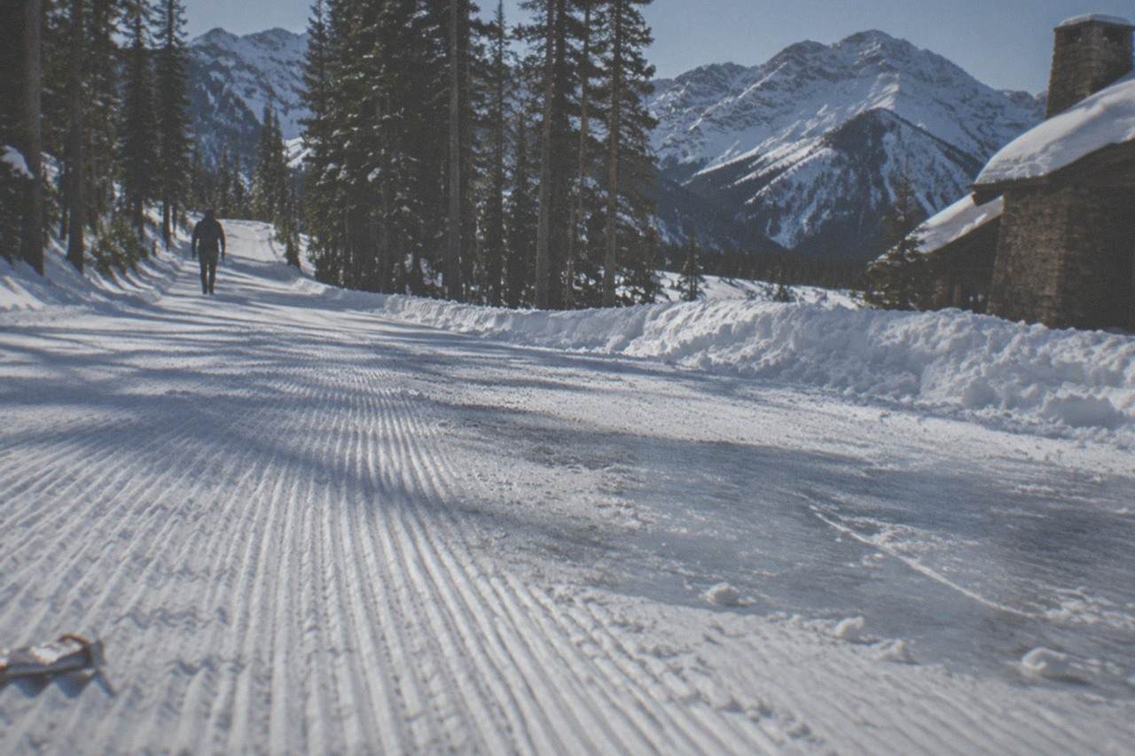 Snow-covered pine forest and a groomed winter road stretching toward distant mountains under a clear blue sky
