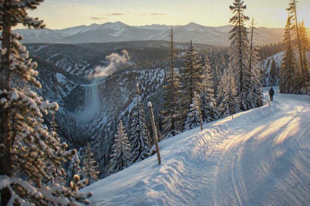 A groomed snow-covered road curving through frosted pine forest with distant mountain peaks