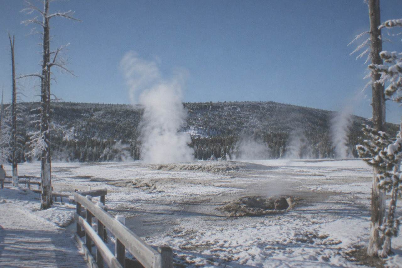 Steam rising from geothermal vents across a snow-covered geyser basin under a cold blue sky