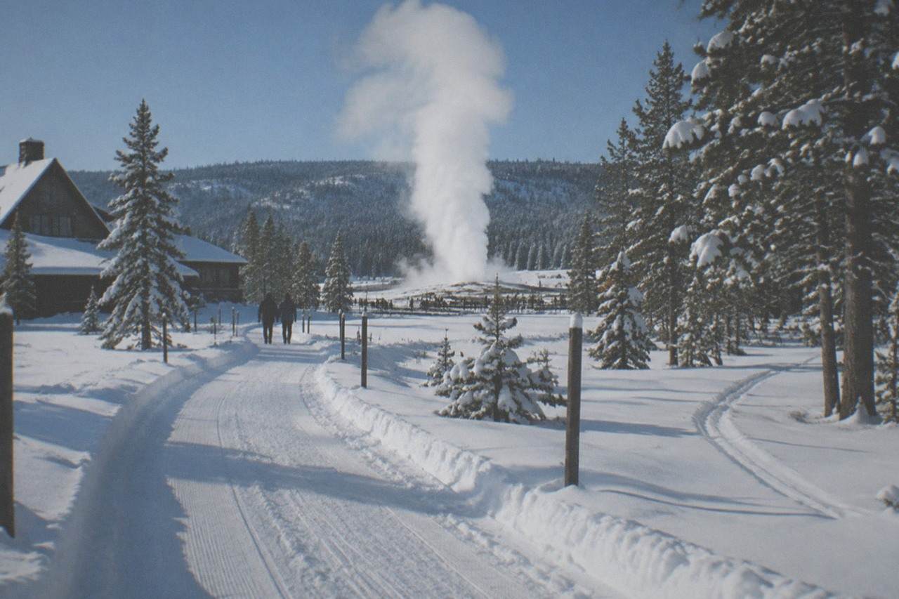 Groomed snow road winding through snow-covered pines toward rising steam