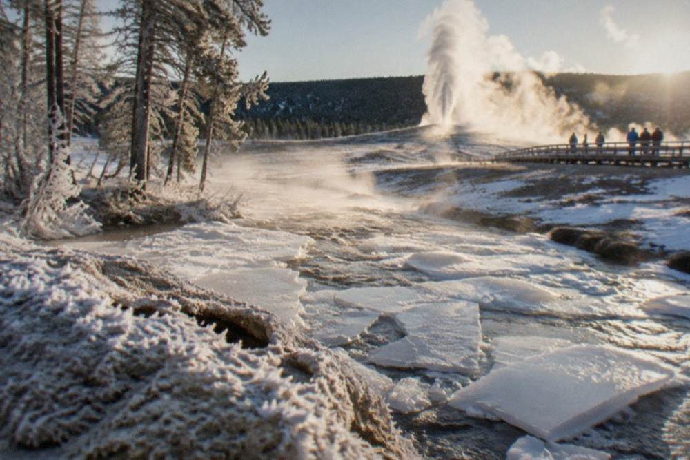 Snow-covered geyser basin with steam rising from hot springs among white-frosted trees