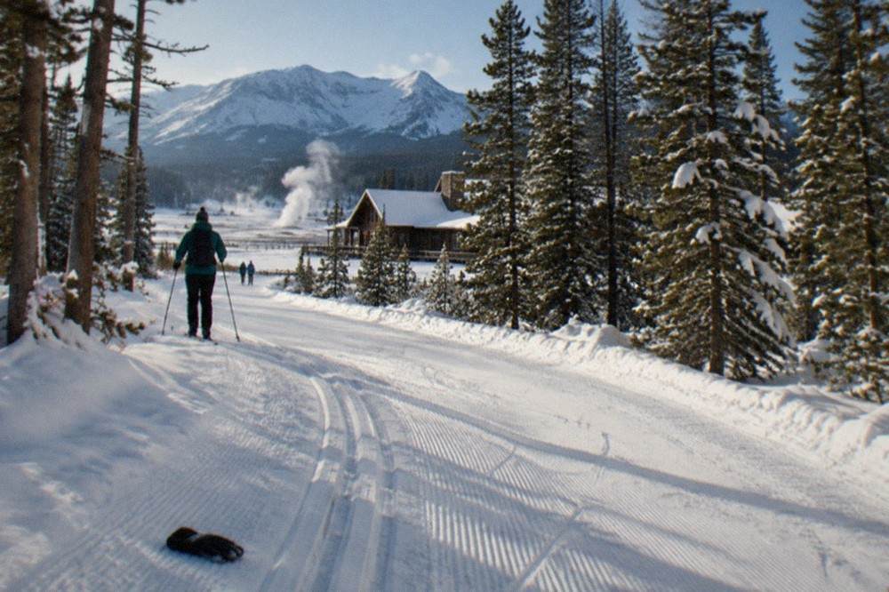 Groomed snowmobile trail winding through snow-laden pine forest under a bright winter sky