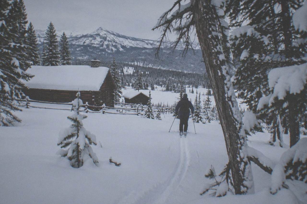 Snow-covered evergreen forest under a pale winter sky near the Yellowstone boundary