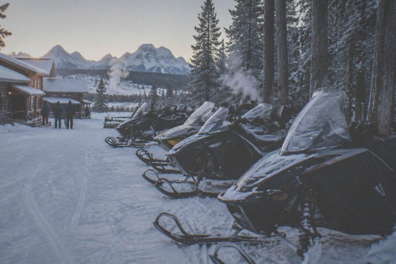 A row of parked snowmobiles on a snow-covered access road beside pine trees at first light