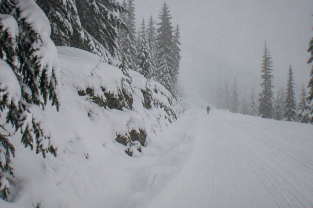 fresh deep snow covering a wide groomed road between snow-laden evergreens under a gray sky