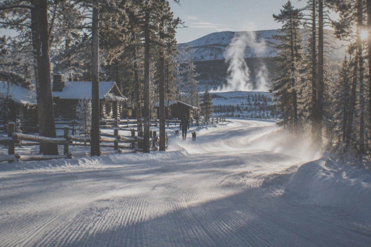 a groomed snow-covered road winding through frosted pine forest in Yellowstone in winter