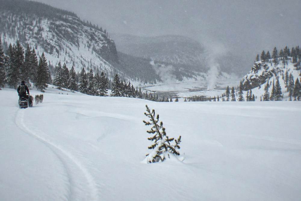 Snowmobile track curving across an open white snowfield under heavy grey clouds