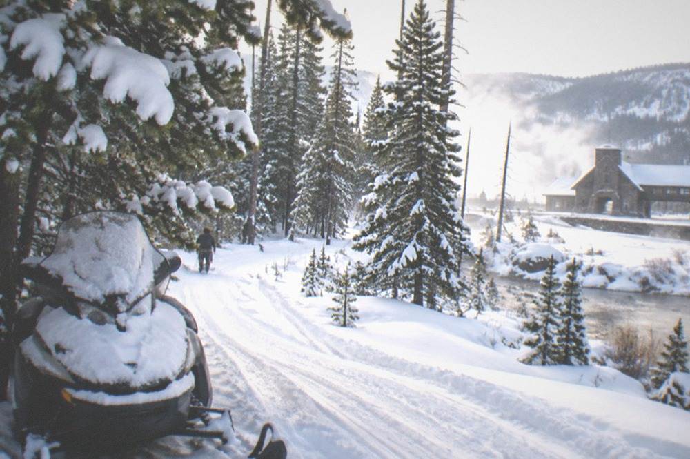 Snowmobile track trail curving through evergreen forest with fresh powder on the branches.