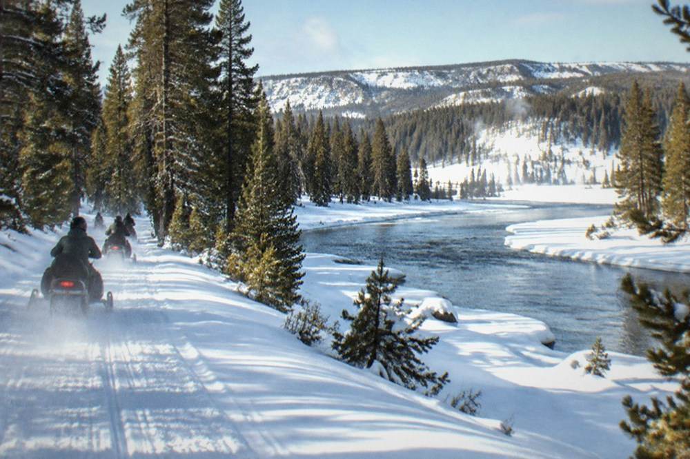 A line of snowmobiles traveling single file down a groomed snow road between tall snowy pine trees