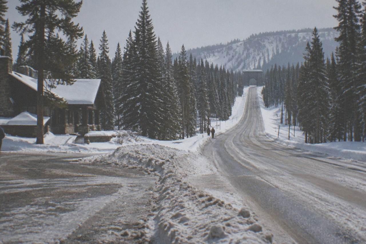 A snow-covered mountain road lined with tall pines under a pale winter sky