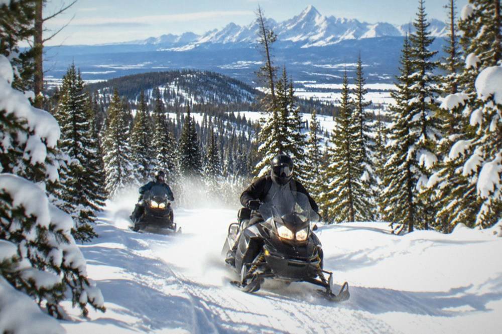 Two snowmobiles traveling along a groomed forest trail between snow-laden pine trees