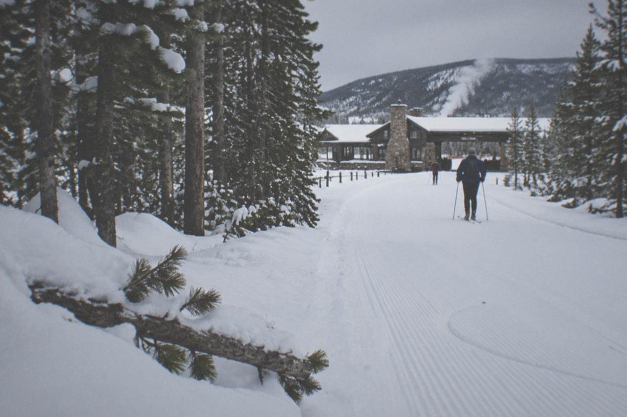 Groomed snowmobile trail winding through snow-covered pine forest near West Yellowstone