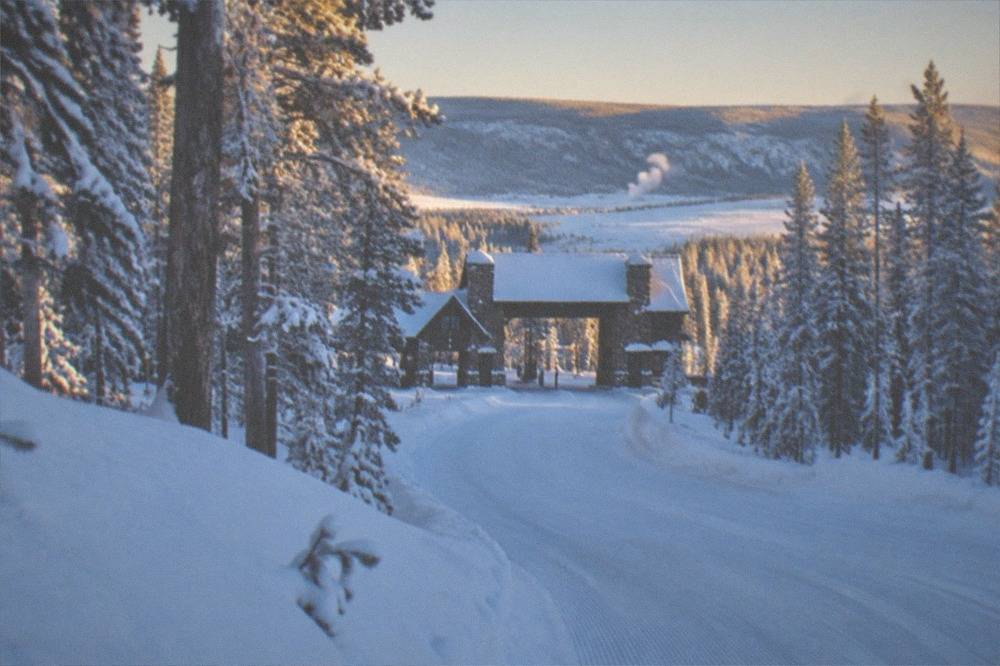 A groomed snow road curving through frosted lodgepole forest under low winter light