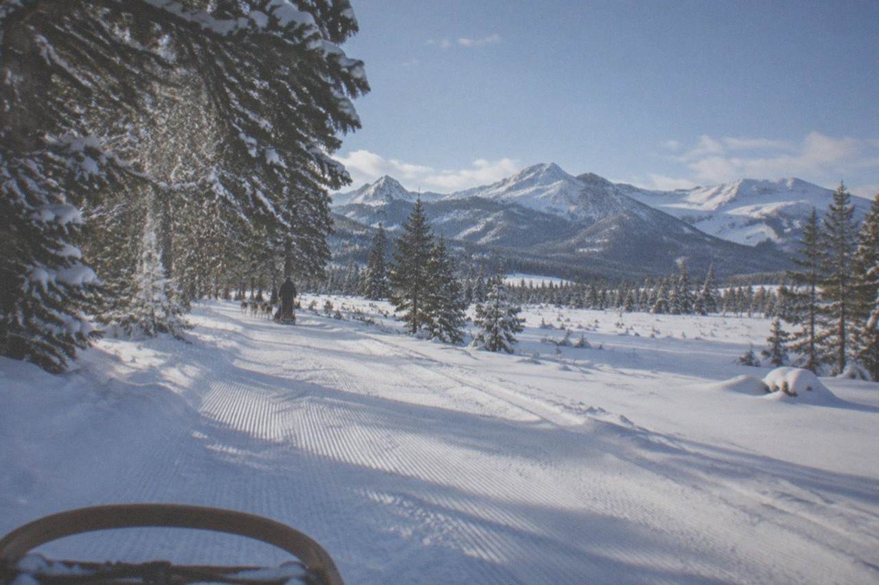 Groomed snowmobile trail winding through snow covered pine forest toward distant mountains
