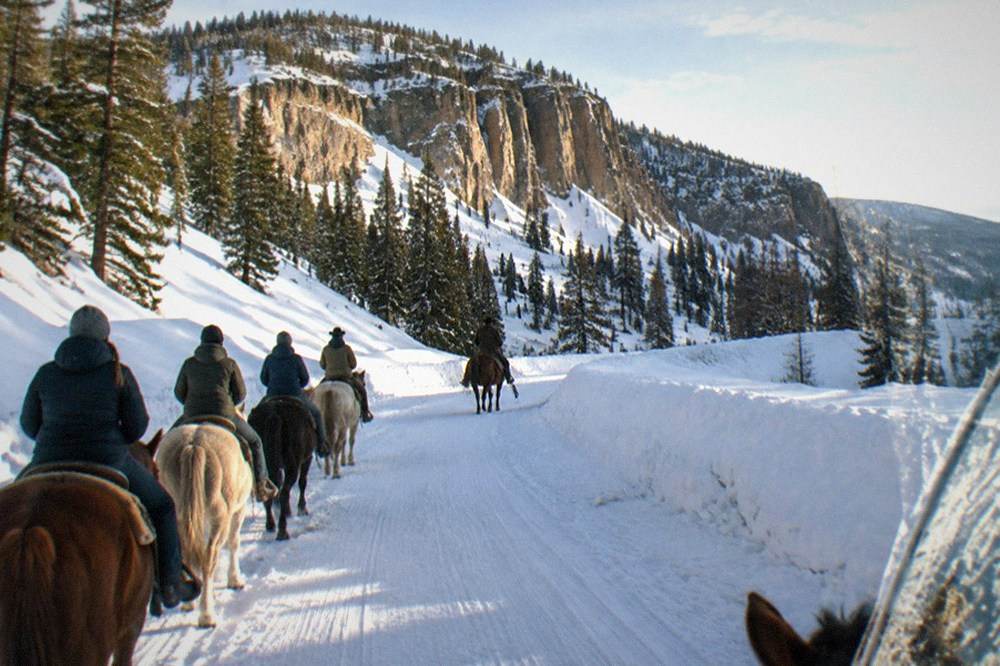 Snowmobile guide leading a line of riders along a groomed road between deep snowbanks in late winter light